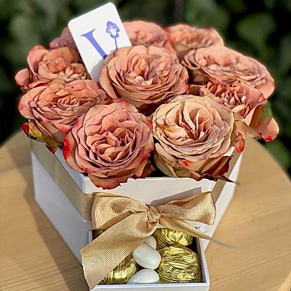 Capuccino Rose and Chocolate Capuccino Rose and Chocolate